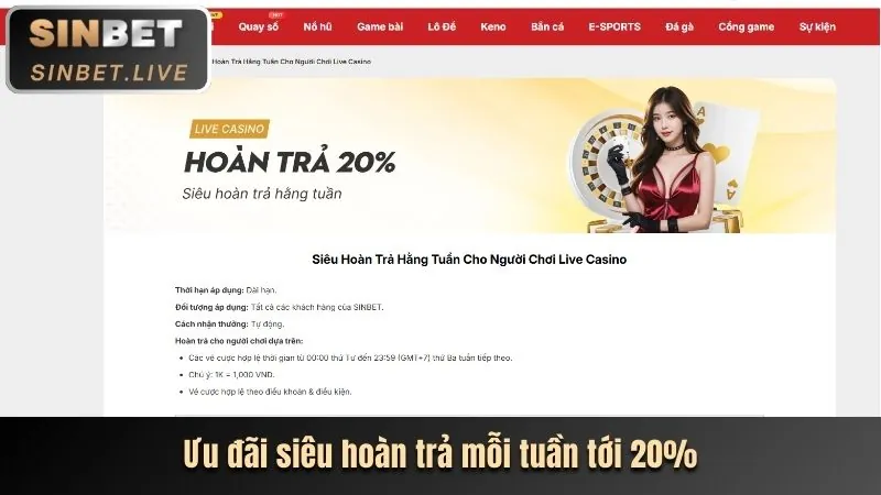 Hoàn trả cược thua Surewin